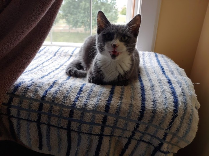 Wynne windowspot #3 'hey'