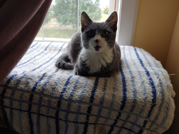 Wynne windowspot #5 perfect