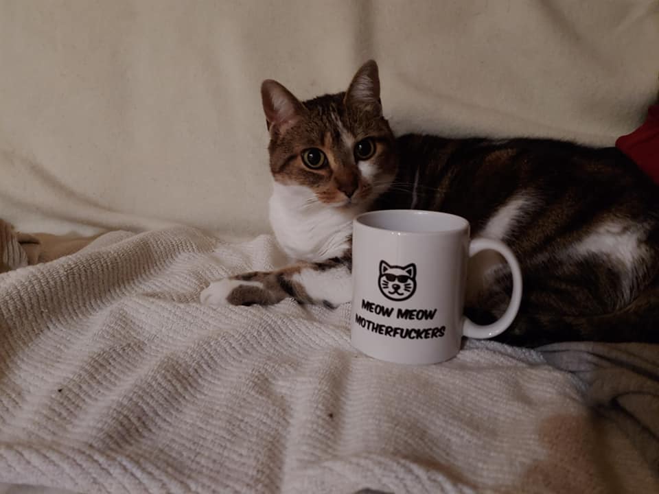 Meow Meow motherfuckers - Bella