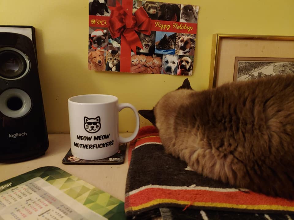 Meow Meow motherfuckers - Mimi