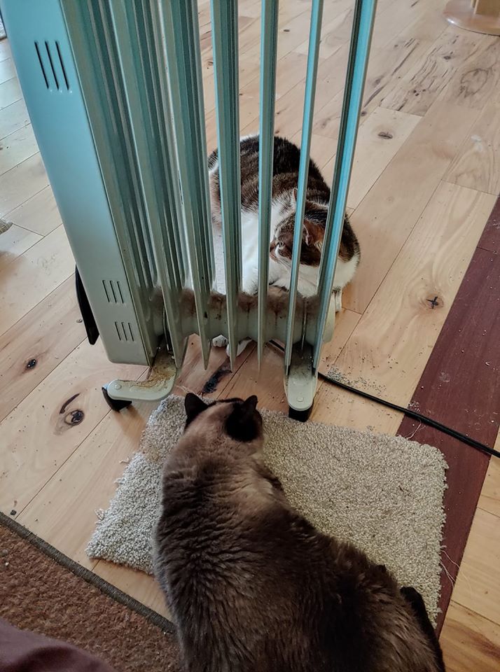 Mimi-Bella space heater