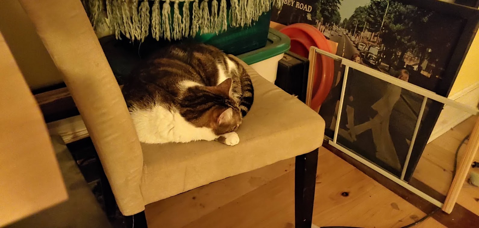 Bella old chair
