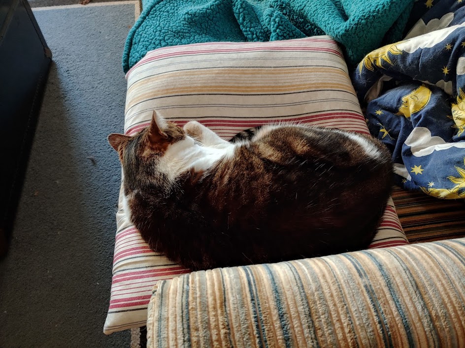 Bella pillow