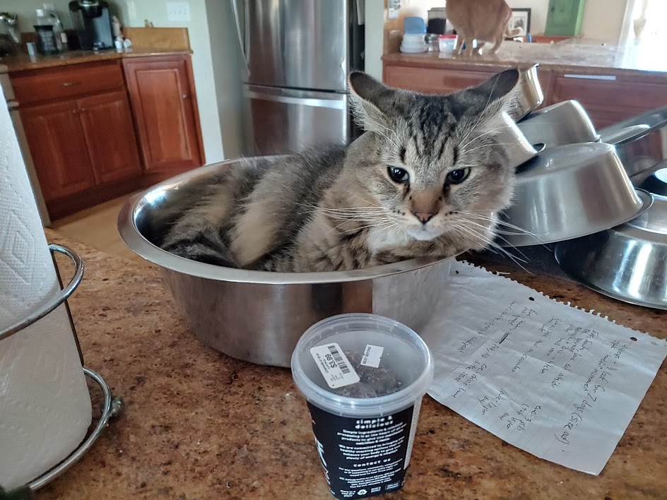 Bowl O' Penny 2