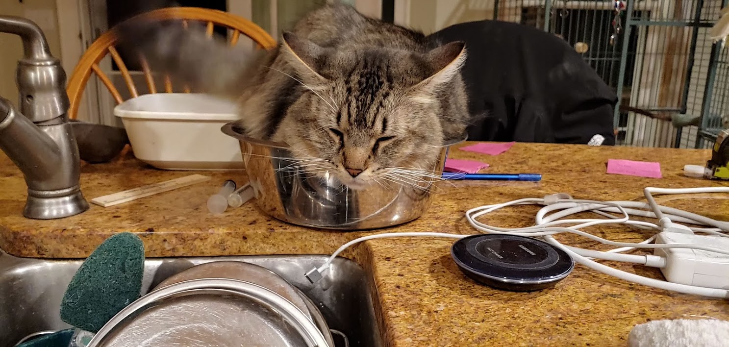 Bowl O' Penny