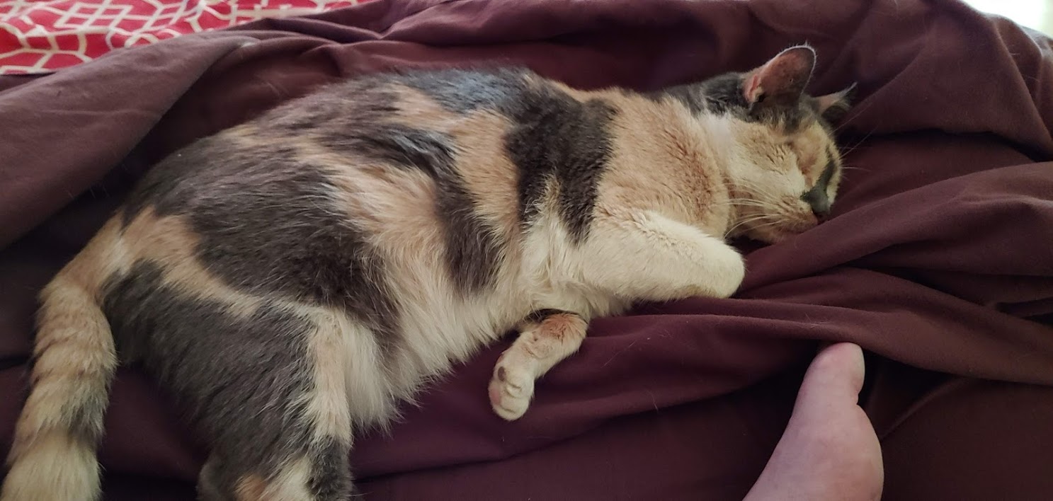 Cricket comfy sheets