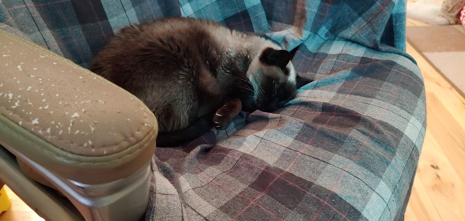 Mimi computer chair