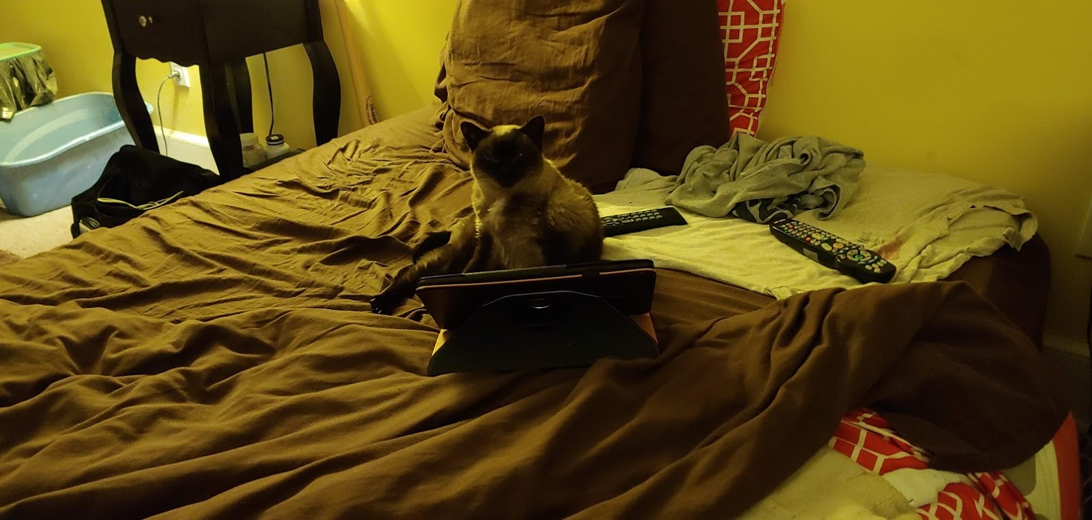 Mimi in front my Tab