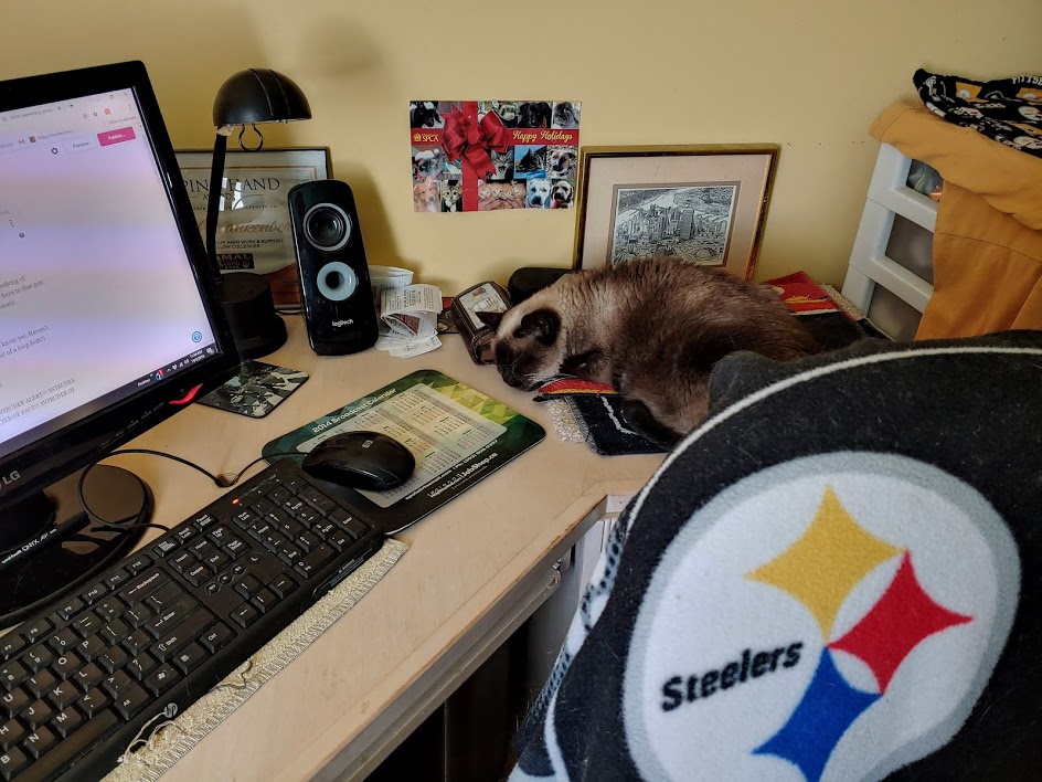Mimi PC desk