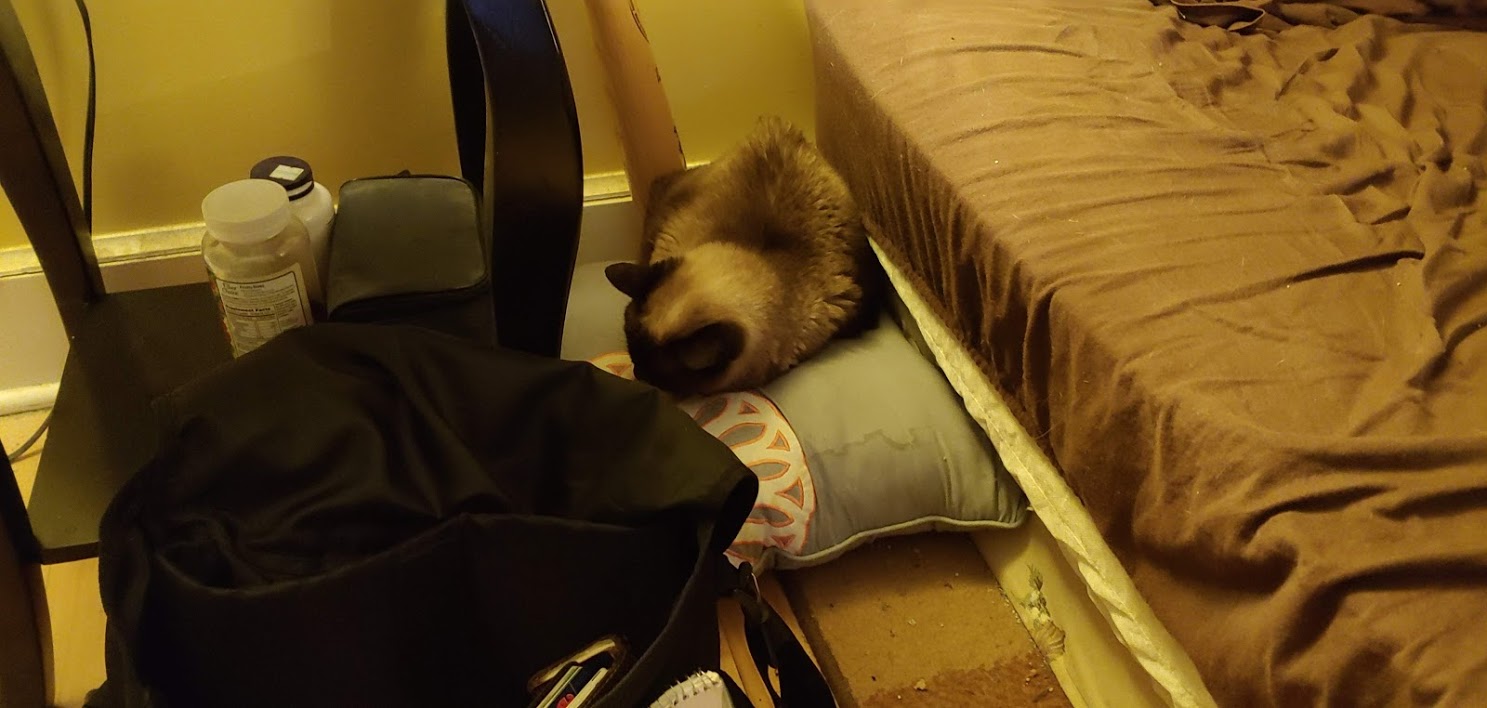 mimi pillow