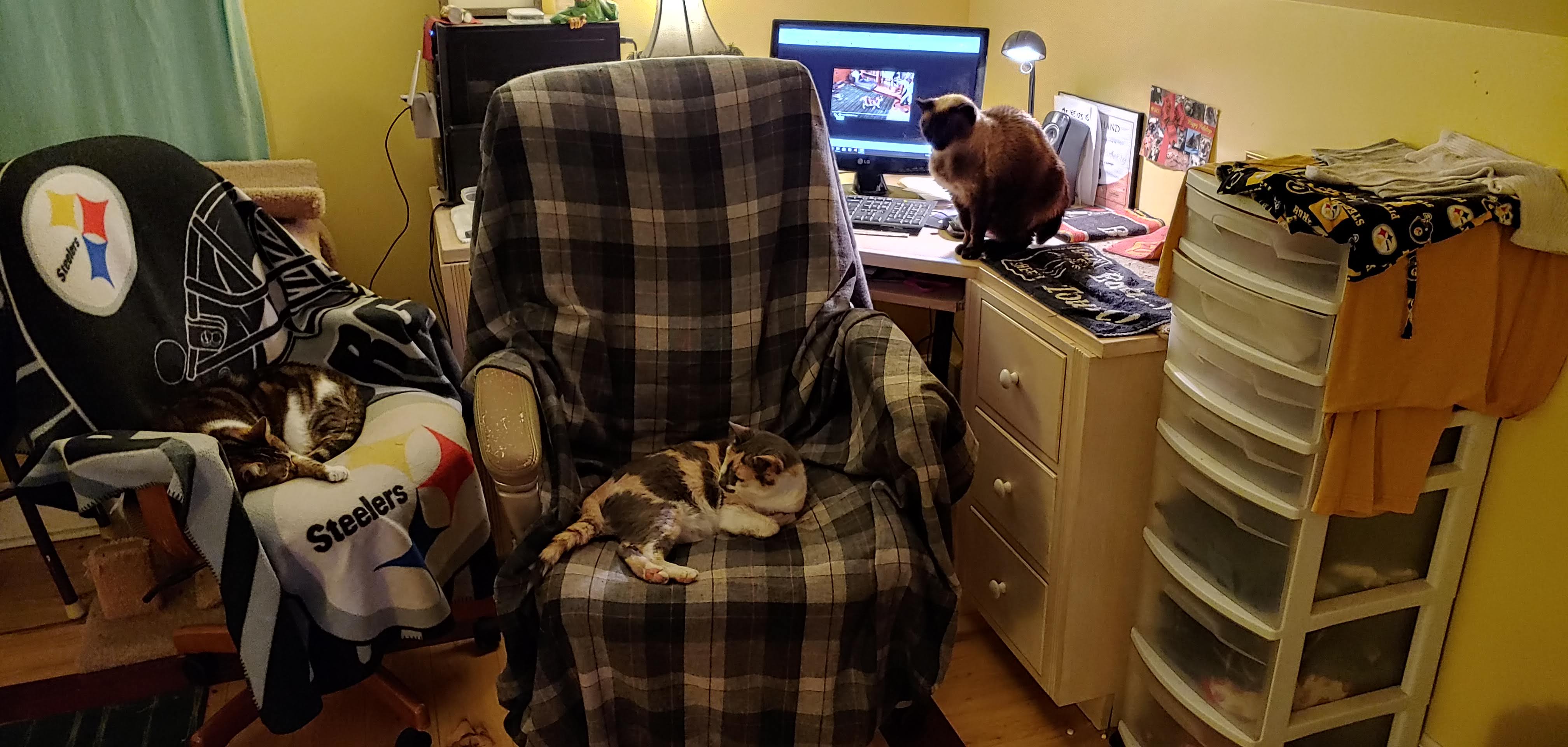 Bella Cricket Mimi PC