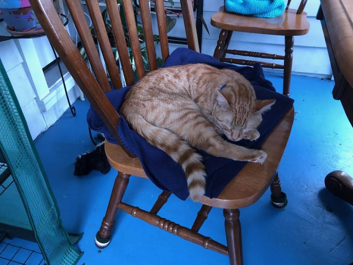 Sir Athur's New Throne