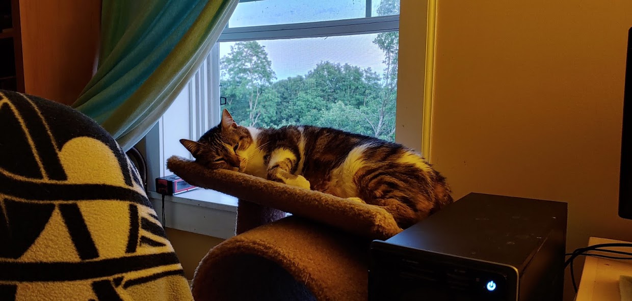 Bella perfect window