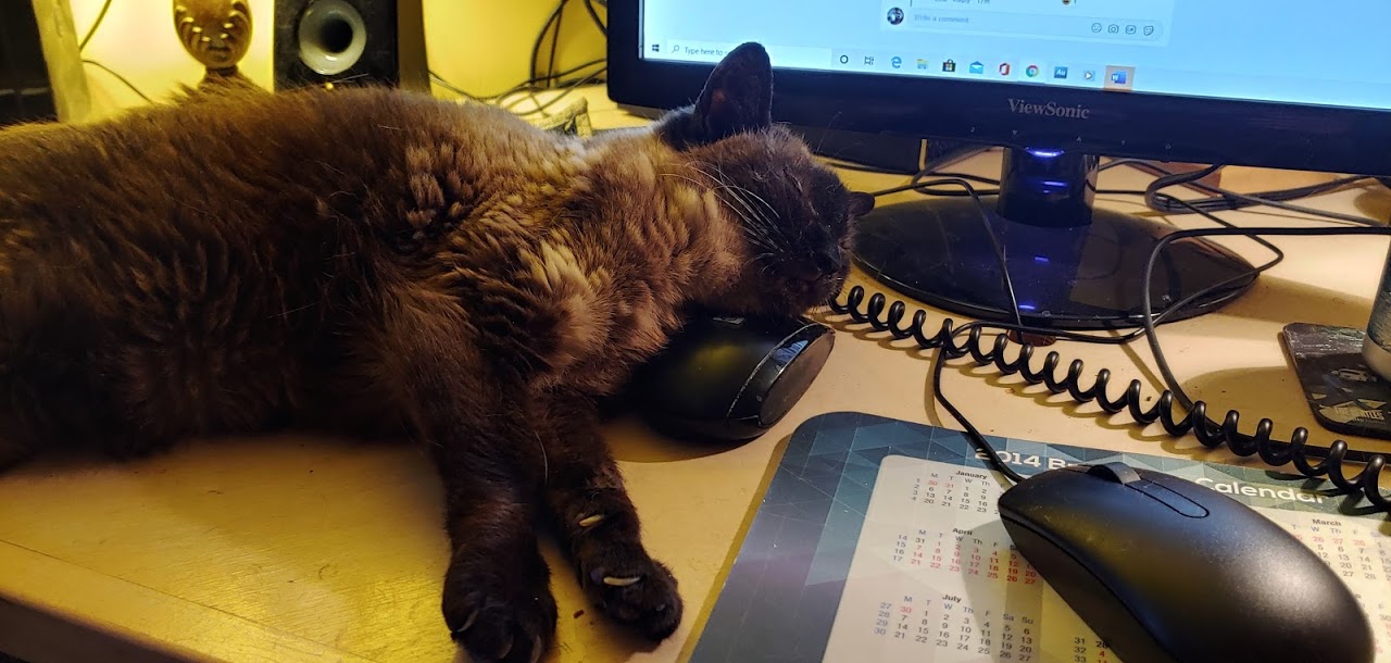 Mimi on Mouse 1