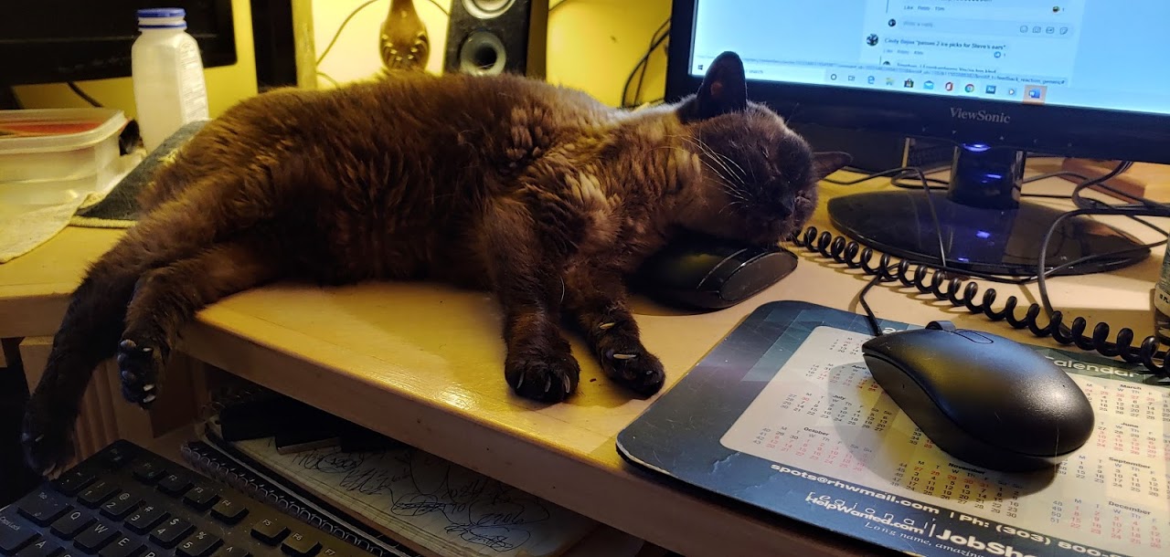 Mimi on Mouse 2