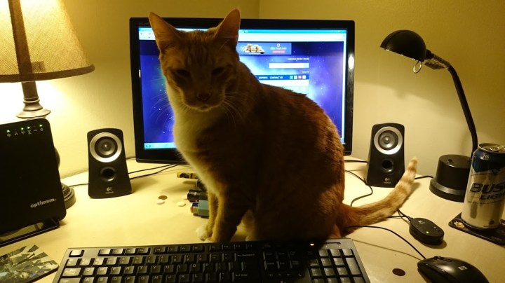 Shoes on the keyboard