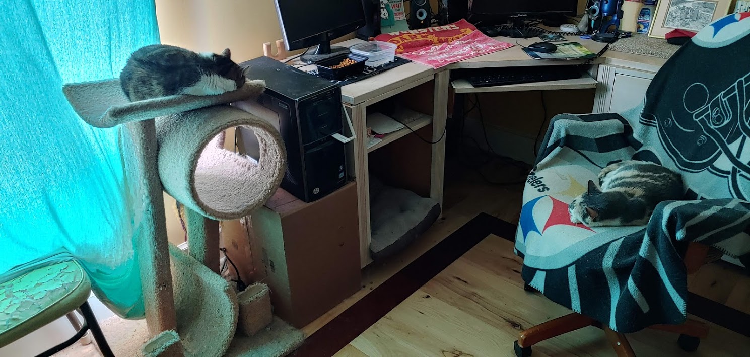 Shoes's chair 2