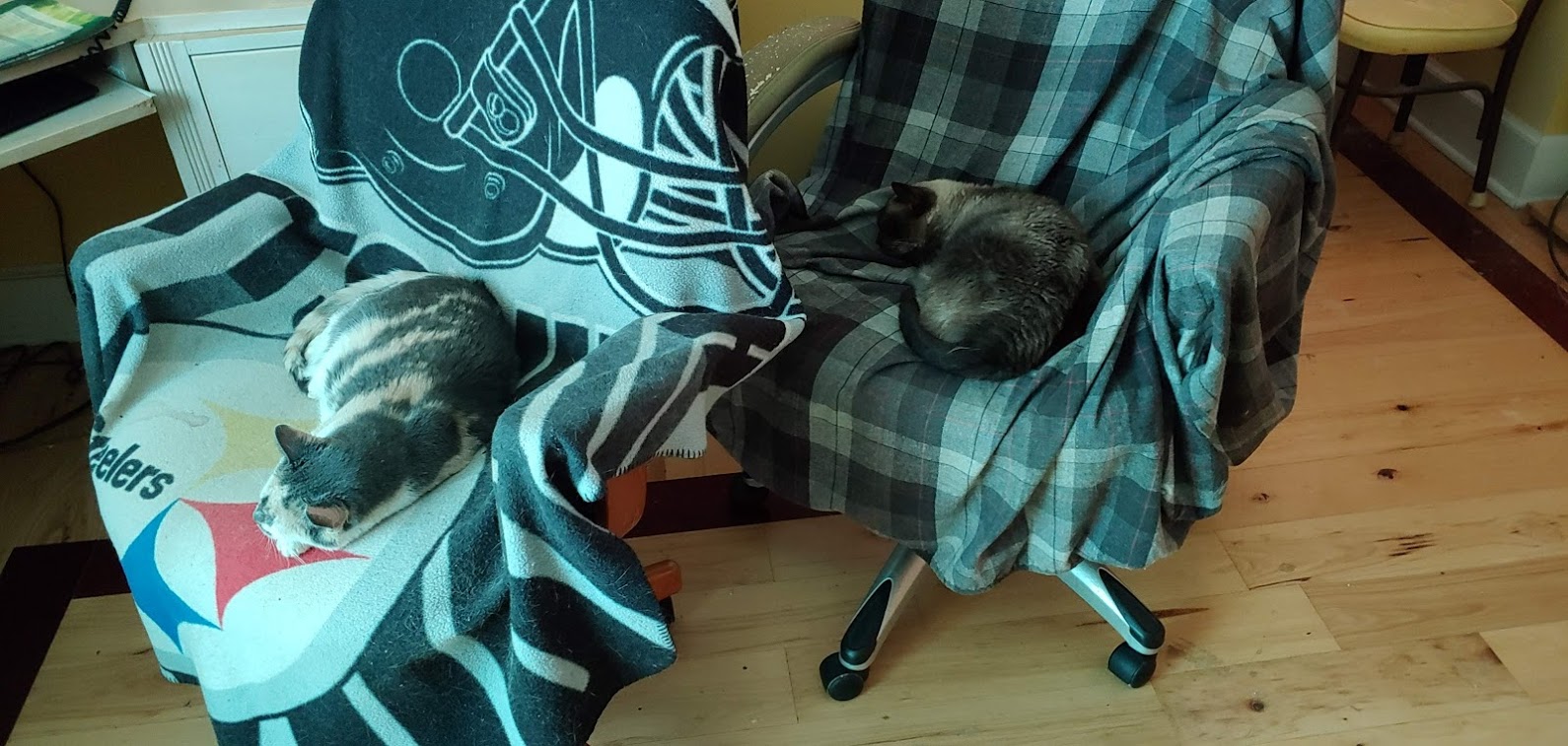 Shoes's chair