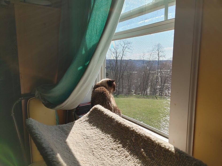 mimi spring breeze #1