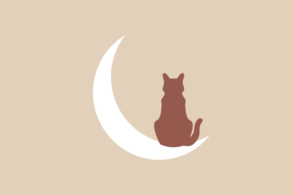 The Cat and Percy the Rat that Fell from the Flat … Earth&nbsp;(song)